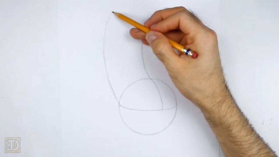 How to Draw Judy Hopps Guidelines