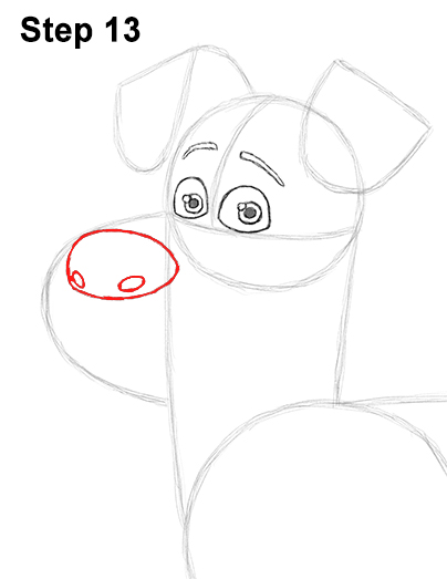 Draw Max Secret Life of Pets 13
