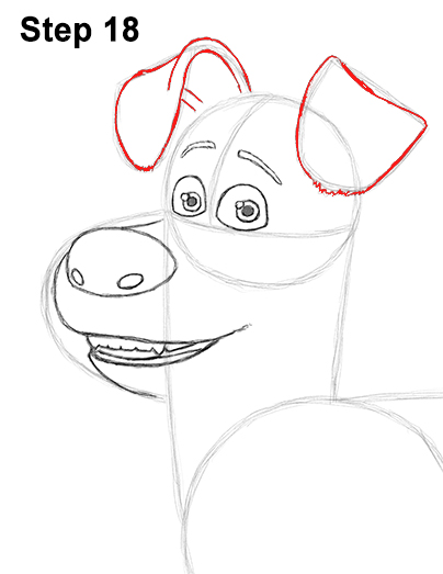Draw Max Secret Life of Pets 18