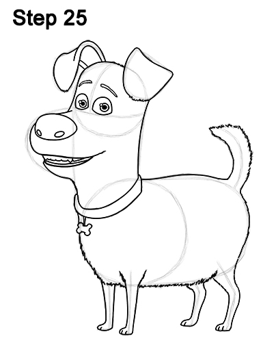 Draw Max Secret Life of Pets 25