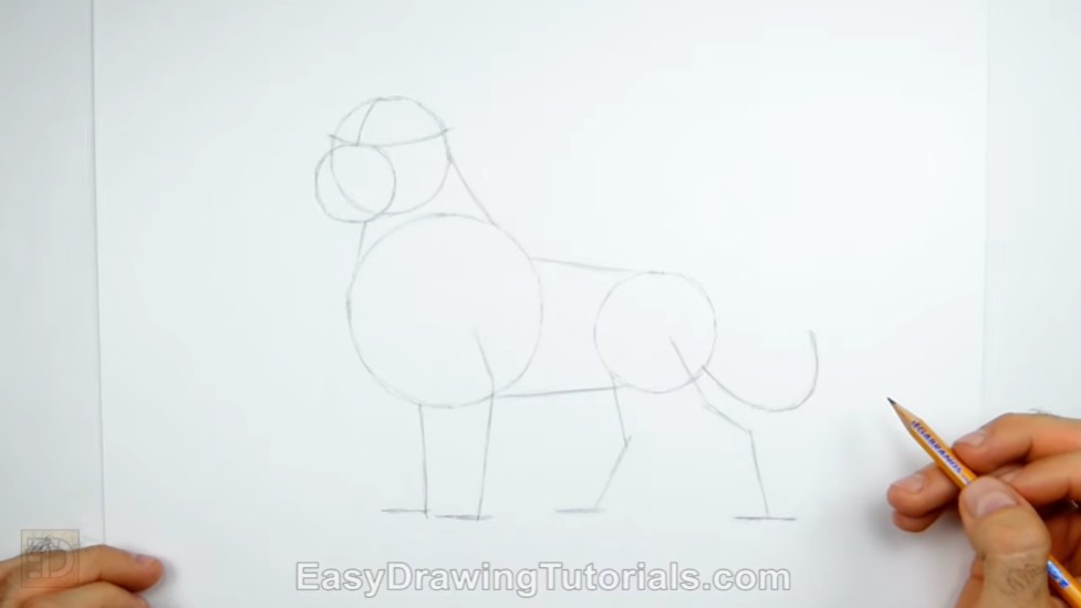 How to Draw Lion King Mufasa Guidelines