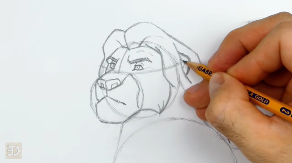 How to Draw Lion King Mufasa Face Details