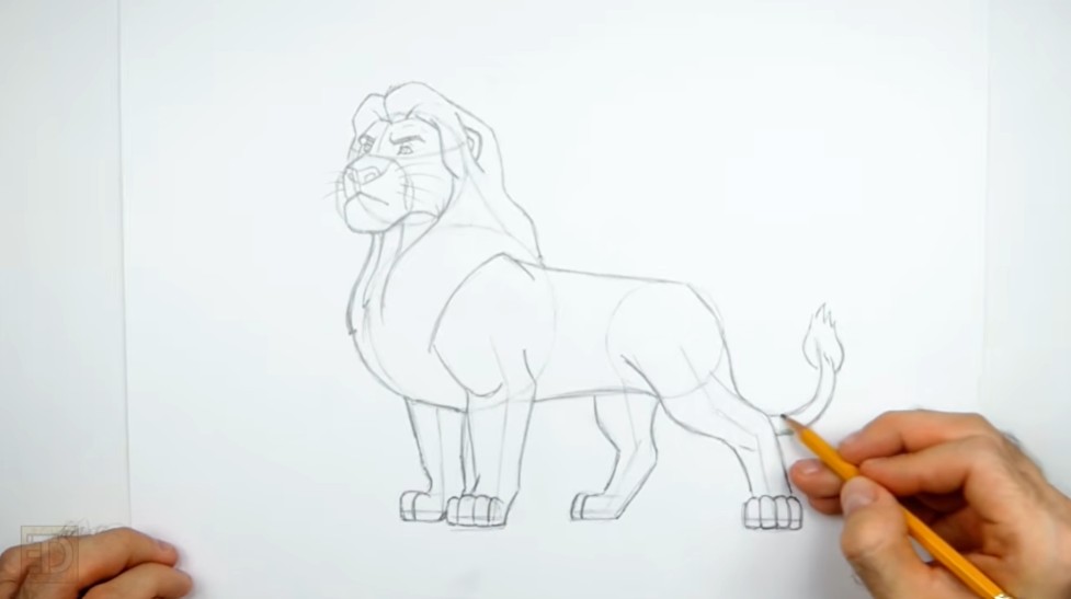 How to Draw Lion King Mufasa Body and Tail