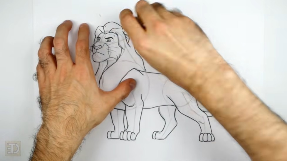 How to Draw Lion King Mufasa Ink