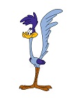 How to Draw The Road Runner Full Body Looney Tunes