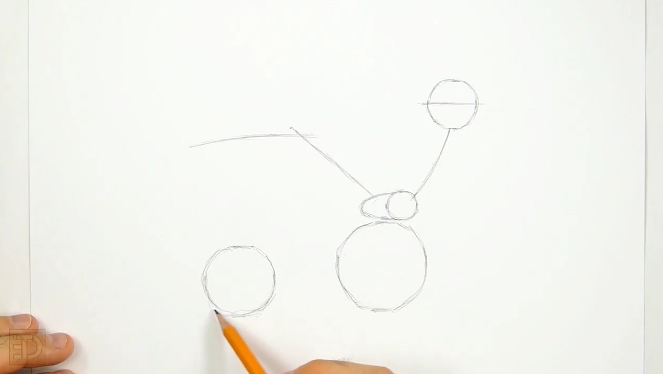 How to Draw Roadrunner Guidelines