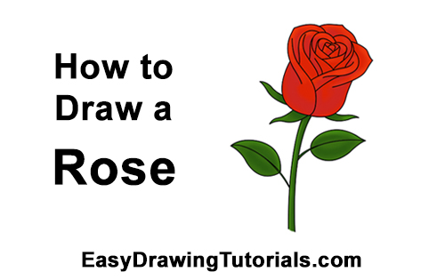 How to Draw a Red Rose