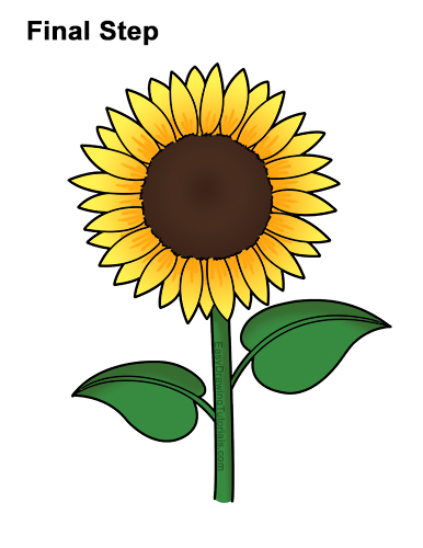 How to a Draw Cartoon Yellow Flower Sunflower