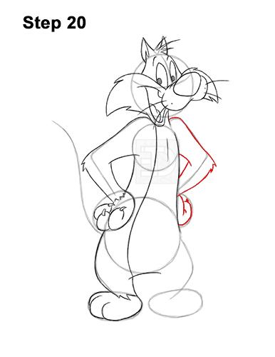 Draw Sylvester Cat Looney Tunes 20 How to Draw Sylvester Cat Looney Tunes Full Body 20