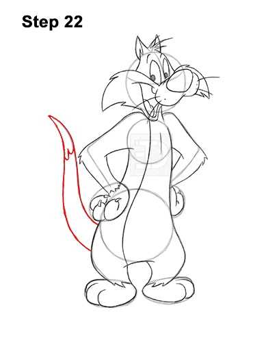Draw Sylvester Cat Looney Tunes 22 How to Draw Sylvester Cat Looney Tunes Full Body 22