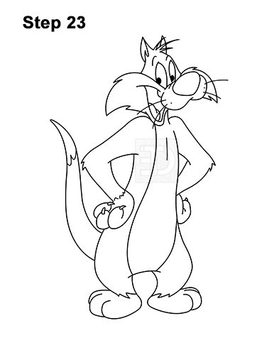 Draw Sylvester Cat Looney Tunes 23 How to Draw Sylvester Cat Looney Tunes Full Body 23