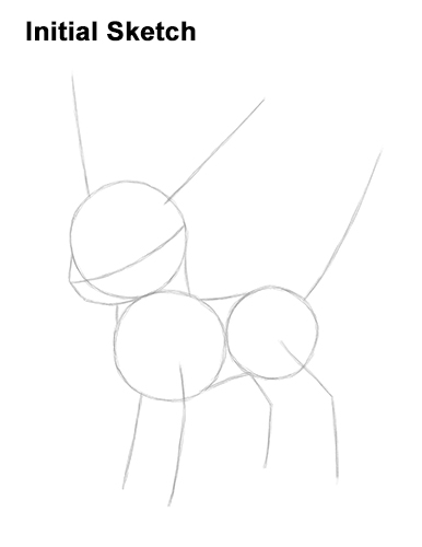 How to Draw Umbreon Pokemon Guides Lines