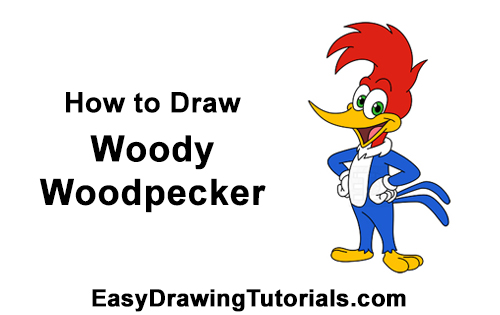 Draw Woody Woodpecker How to Draw Woody Woodpecker Full Body
